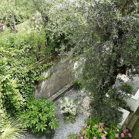 Florida Limone sul Garda